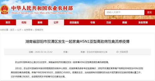 湖南邵阳发生一起家禽H5N1亚型高致病性禽流感疫情
